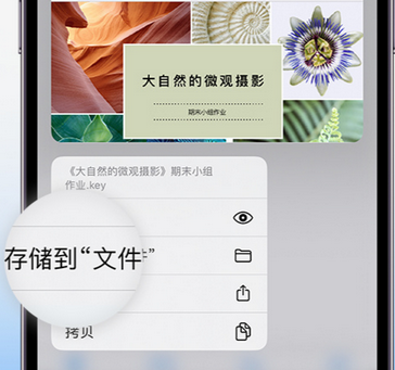 渭南apple维修中心分享iPhone文件应用中存储和找到下载文件