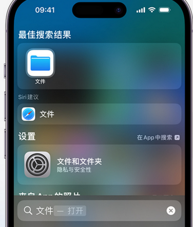 渭南apple维修中心分享iPhone文件应用中存储和找到下载文件 