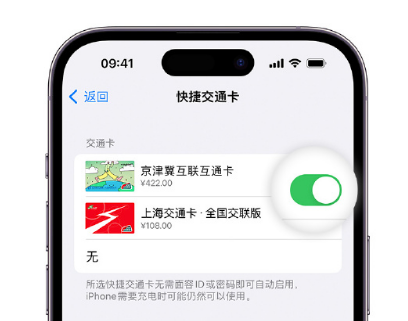 渭南apple维修点分享iPhone上更换Apple Pay快捷交通卡手绘卡面 