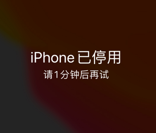 渭南苹果手机维修分享:iPhone 显示“不可用”或“已停用”怎么办？还能保留数据吗？ 