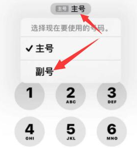 渭南苹果14维修店分享iPhone 14 Pro Max使用副卡打电话的方法 