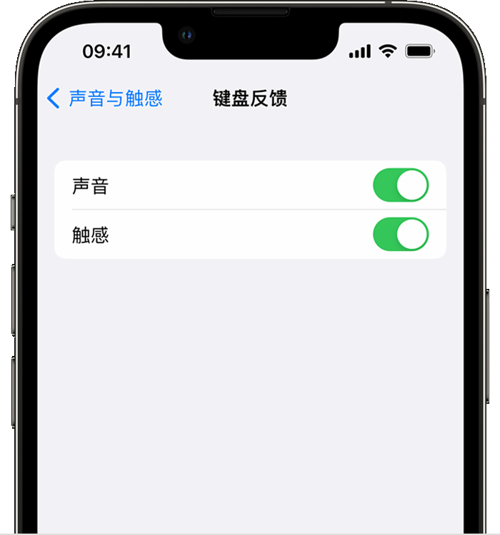 渭南苹果14维修分享iPhone 14 系列机型如何开启键盘声音或触感反馈 
