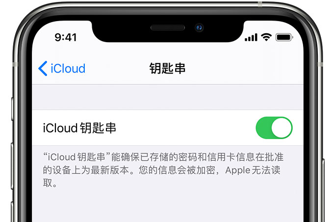 渭南苹果手机维修分享在 iPhone 上开启 iCloud 钥匙串之后会储存哪些信息 