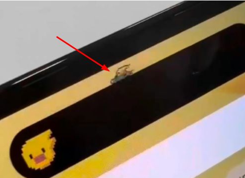 渭南苹果14维修分享iPhone 14 Pro Max灵动岛怎么养宠物 