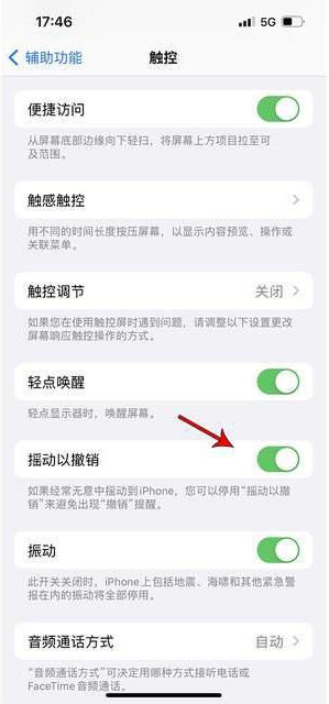 渭南苹果手机维修分享iPhone手机如何设置摇一摇删除文字 