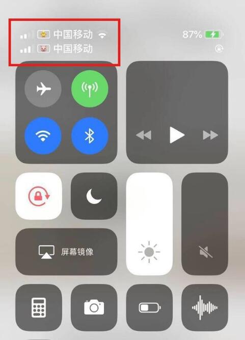 渭南苹果手机维修分享为 iPhone 12 双卡设置标签 